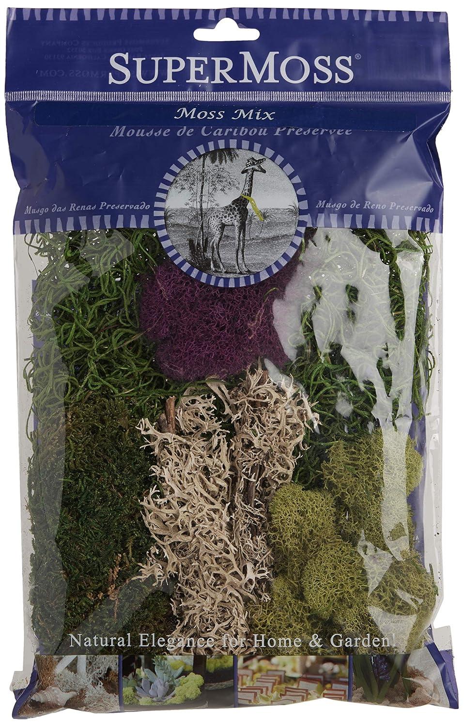 Super Moss SuperMoss Preserved Moss Mix, Mixed Colors, Approx. 2oz | Wayfair