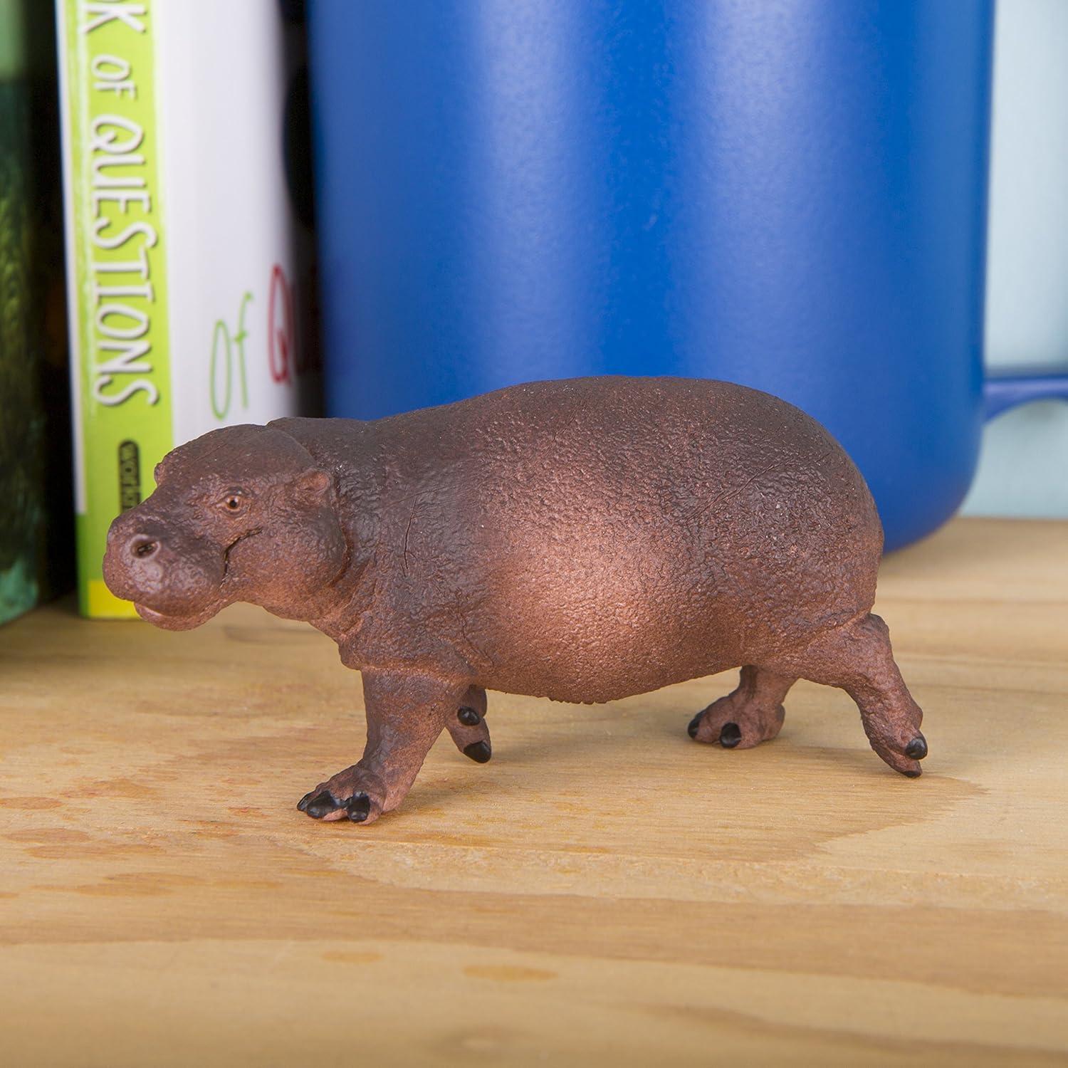 Safari Ltd. Pygmy Hippopotamus Figurine - Lifelike 3.25" Animal Figure - Educational Toy for Boys, Girls, and Kids Ages 3+