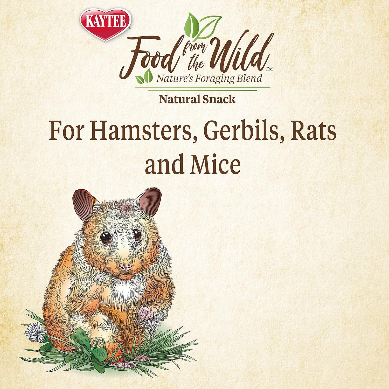 Kaytee Food From the Wild Natural Snack
