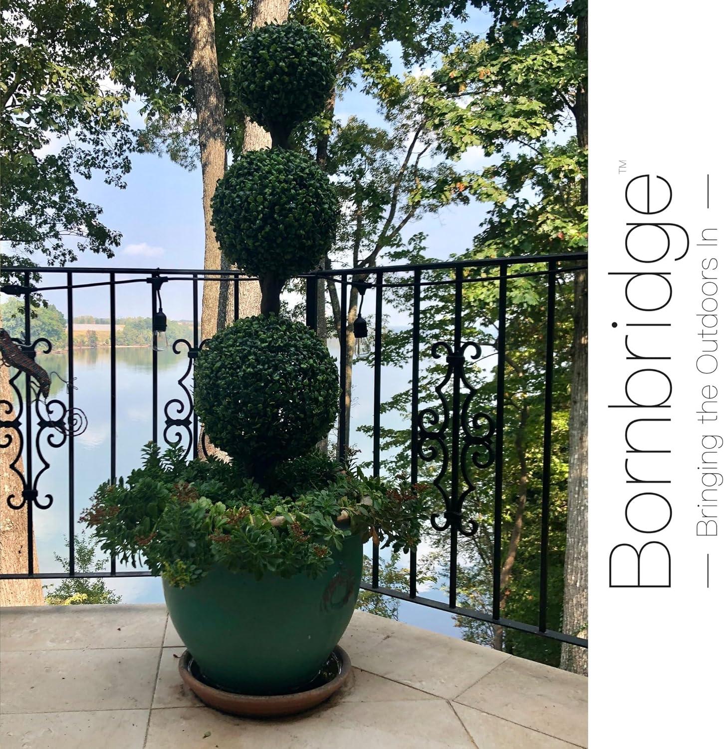 Bornbridge 46'' Faux Boxwood Topiary in Freestanding