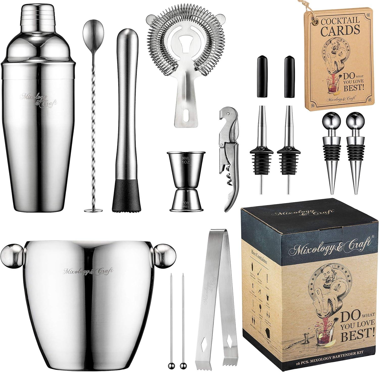 Stainless Steel 15-Piece Mixology Bartender Kit with Ice Bucket