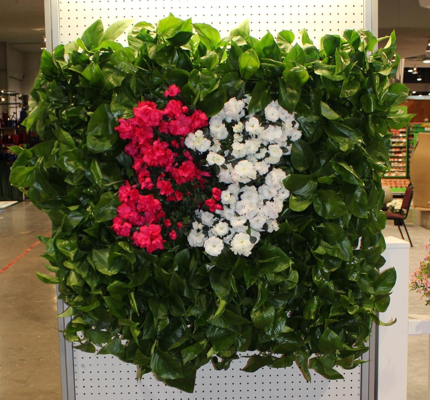 Bloomers Wall Flowers Vertical Gardening System – Create Gardens on Walls – Holds up to 4 Potted Plants – Black