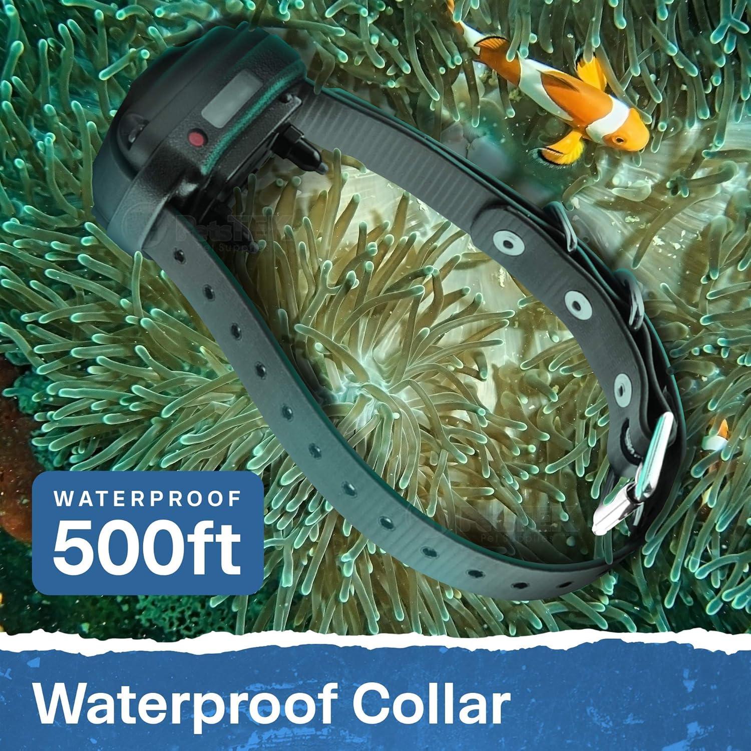 E-Collar ET-300 Mini Educator Dog Training Collar Bundle + PetsTEK Dog Clicker – 1/2 Mile Range, Waterproof, 100 Levels with Vibration & Tone