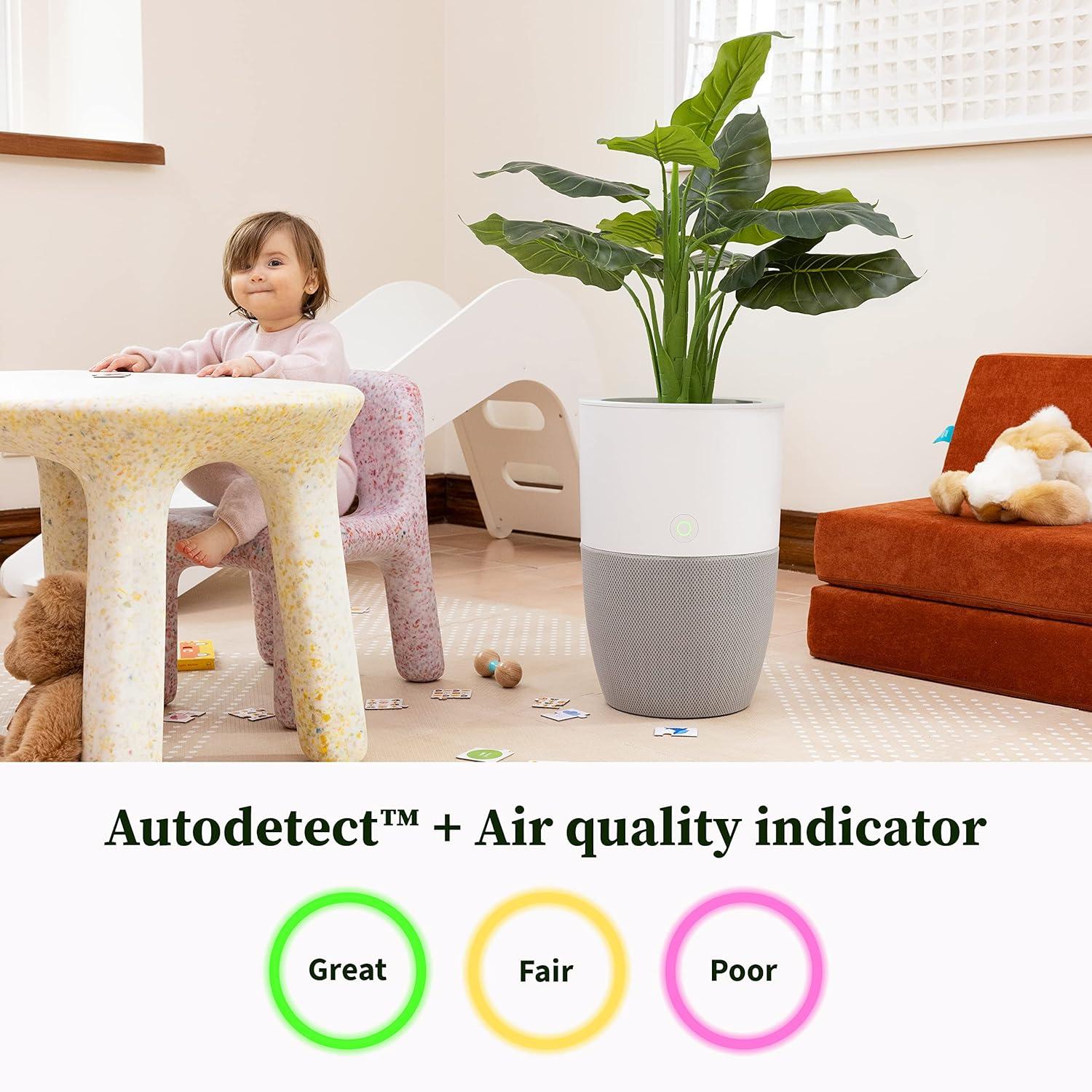 Dupray Bloom™ Air Purifier | Smart Medical-Grade HEPA-13 Air Filtration With Integrated Planter