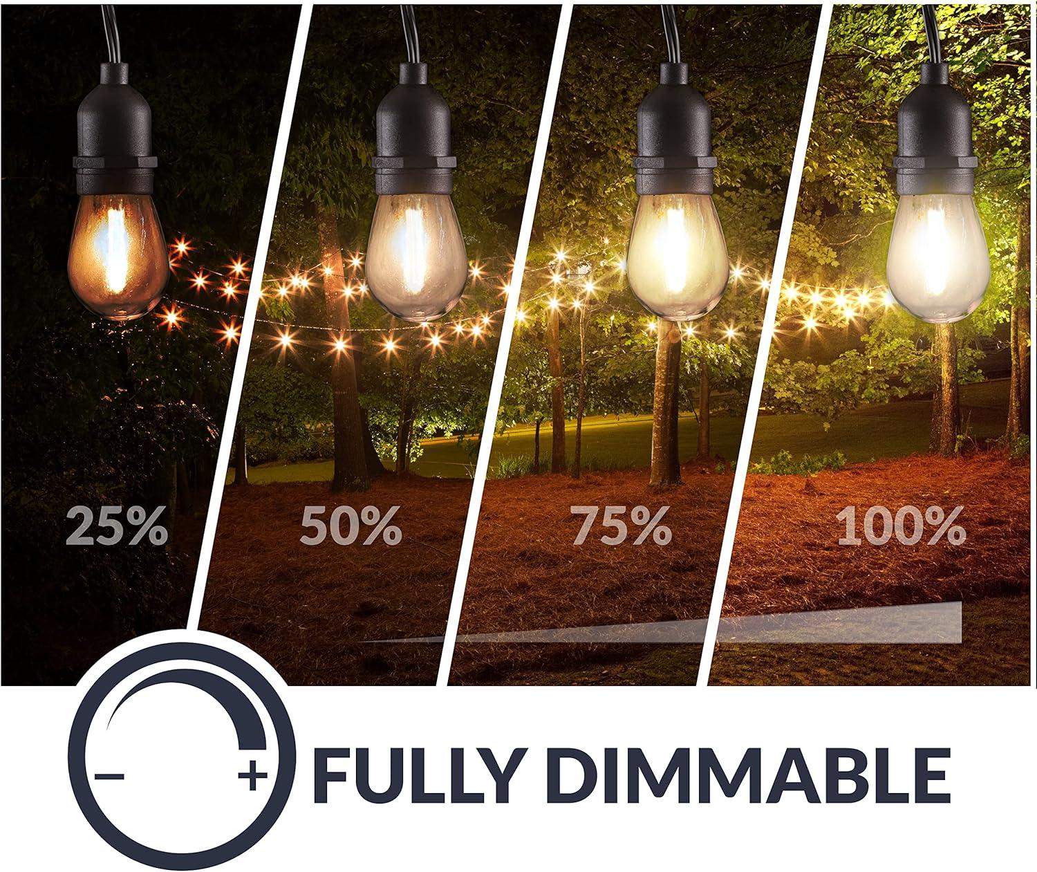 48ft Black Outdoor LED String Lights with Remote Control