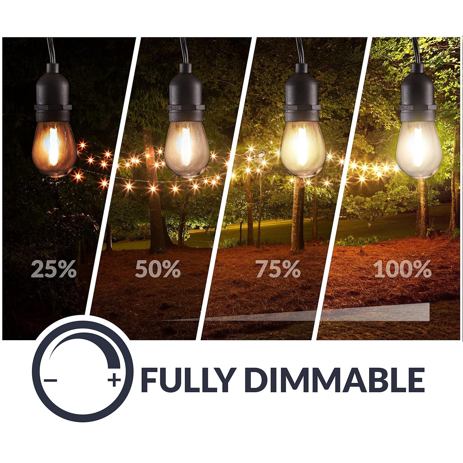 Newhouse Lighting LED String Lights with Weatherproof Technology, Dimmable with Wireless Remote Control, 48ft and 16 (15+1 Free) LED Light Bulbs Included, Black (CSTRINGLEDDIM)