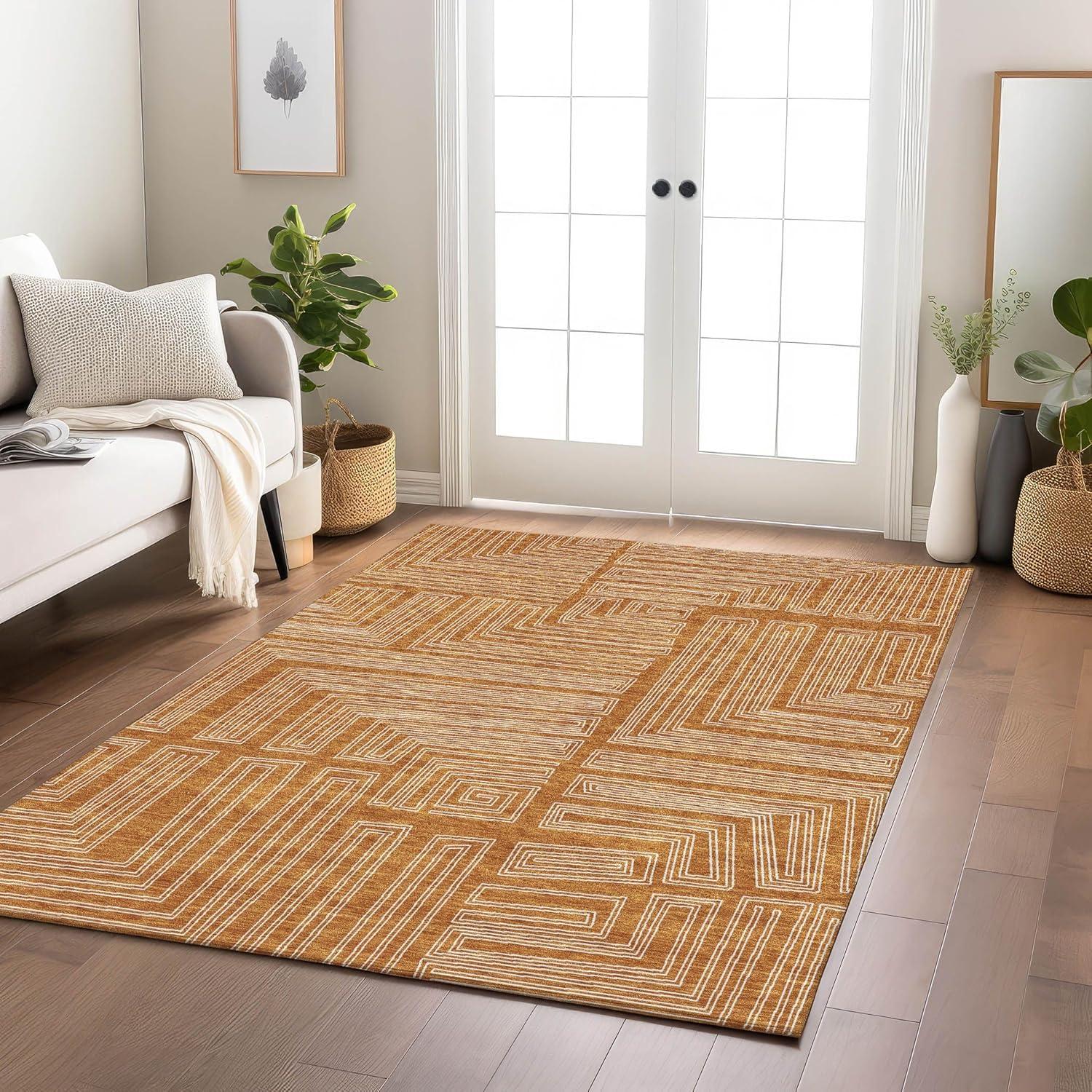 Machine Washable Indoor/Outdoor Chayden ACN1045 Paprika Rug