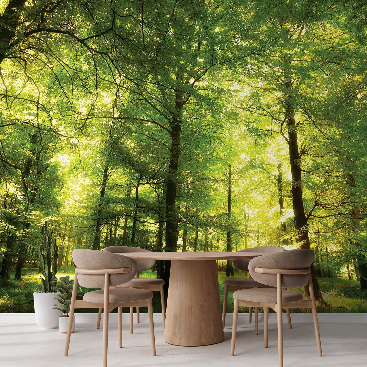 Morning Green Forest Border, Nature Landscape Wall Mural Modern Peel & Stick Wallpaper