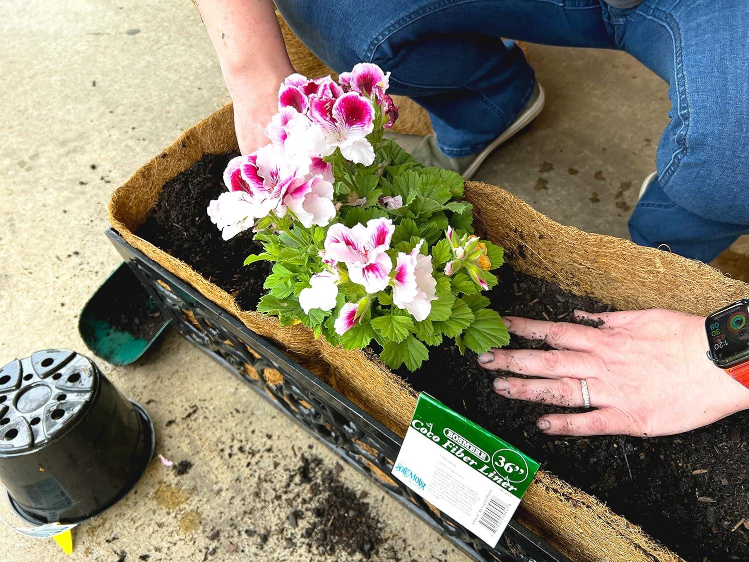 Bosmere F954 36-Inch Pre-Formed Replacement Coco Liner with Soil Moist for Rectangular Planter