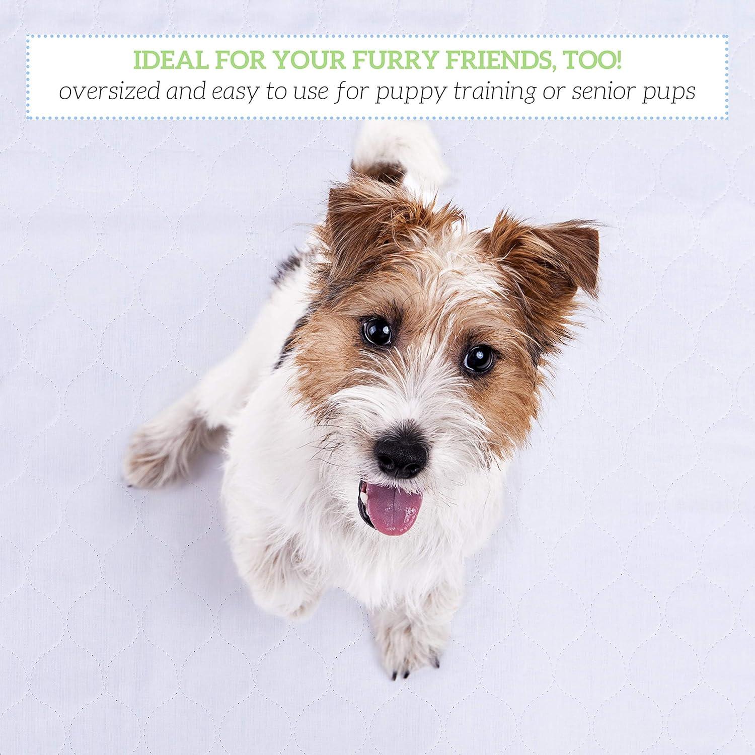 GREEN LIFESTYLE Washable Underpads 2 Pack - Large Bed Pads, 48" x 48", for use as Incontinence Bed Pads, Reusable Pet Pads, Great for Dogs, Cats, Bunny, Seniors Bed Pad (Pack of 2 - 48x48)