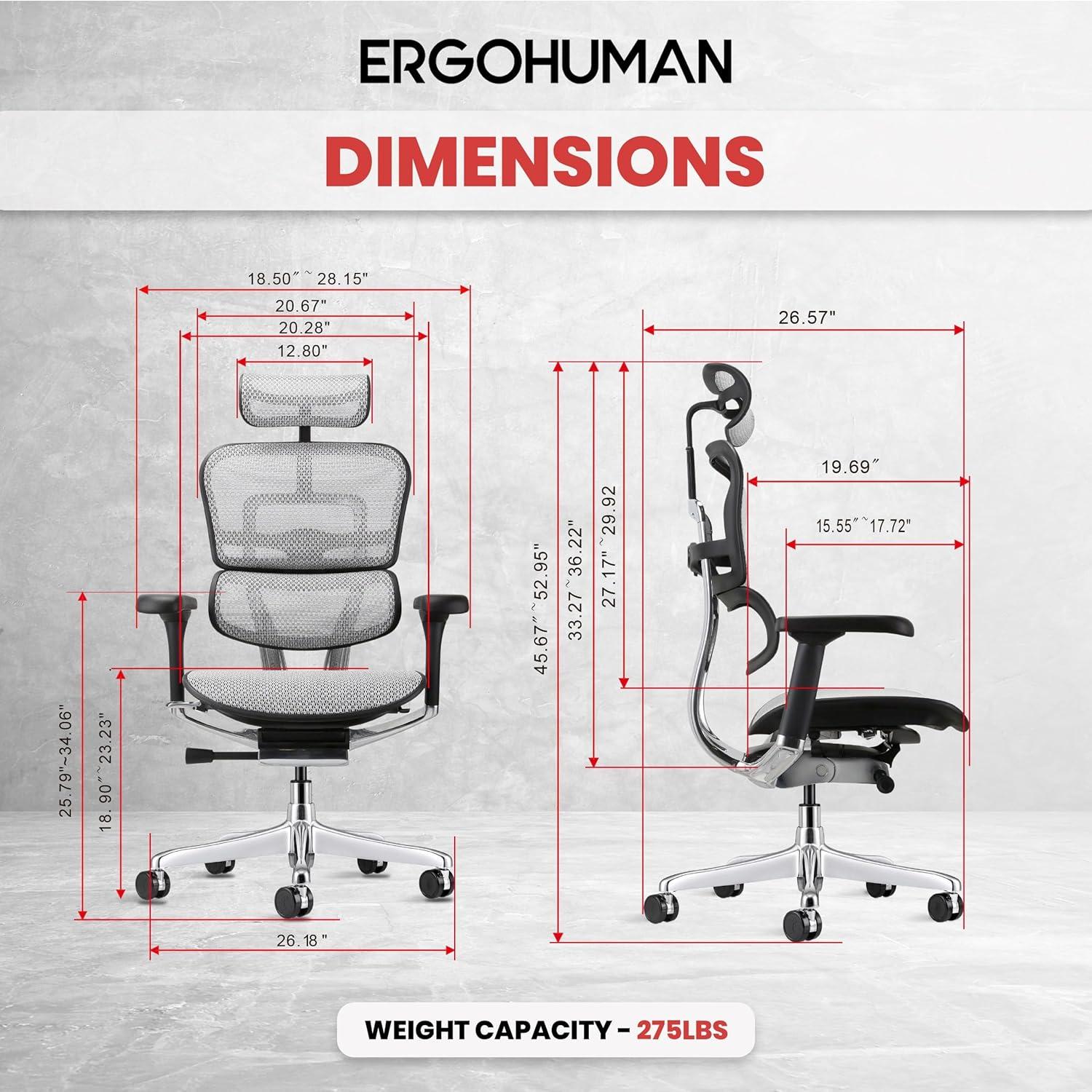 Eurotech Seating Ergohuman Executive Chair with Headrest