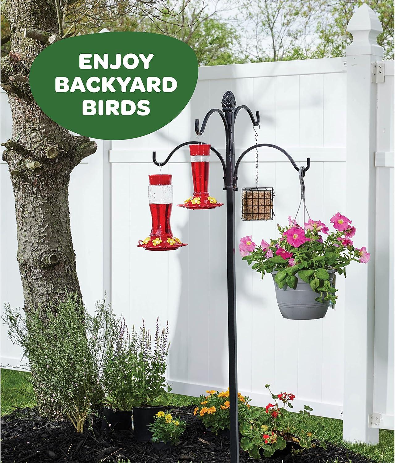 Hummingbird Feeder 10 oz Plastic Hummingbird Feeders for Outdoors, with Built-in Ant Guard - Circular Perch with 5 Feeding Ports - Wide Mouth for Easy Filling/2 Part Base for Easy Cleaning