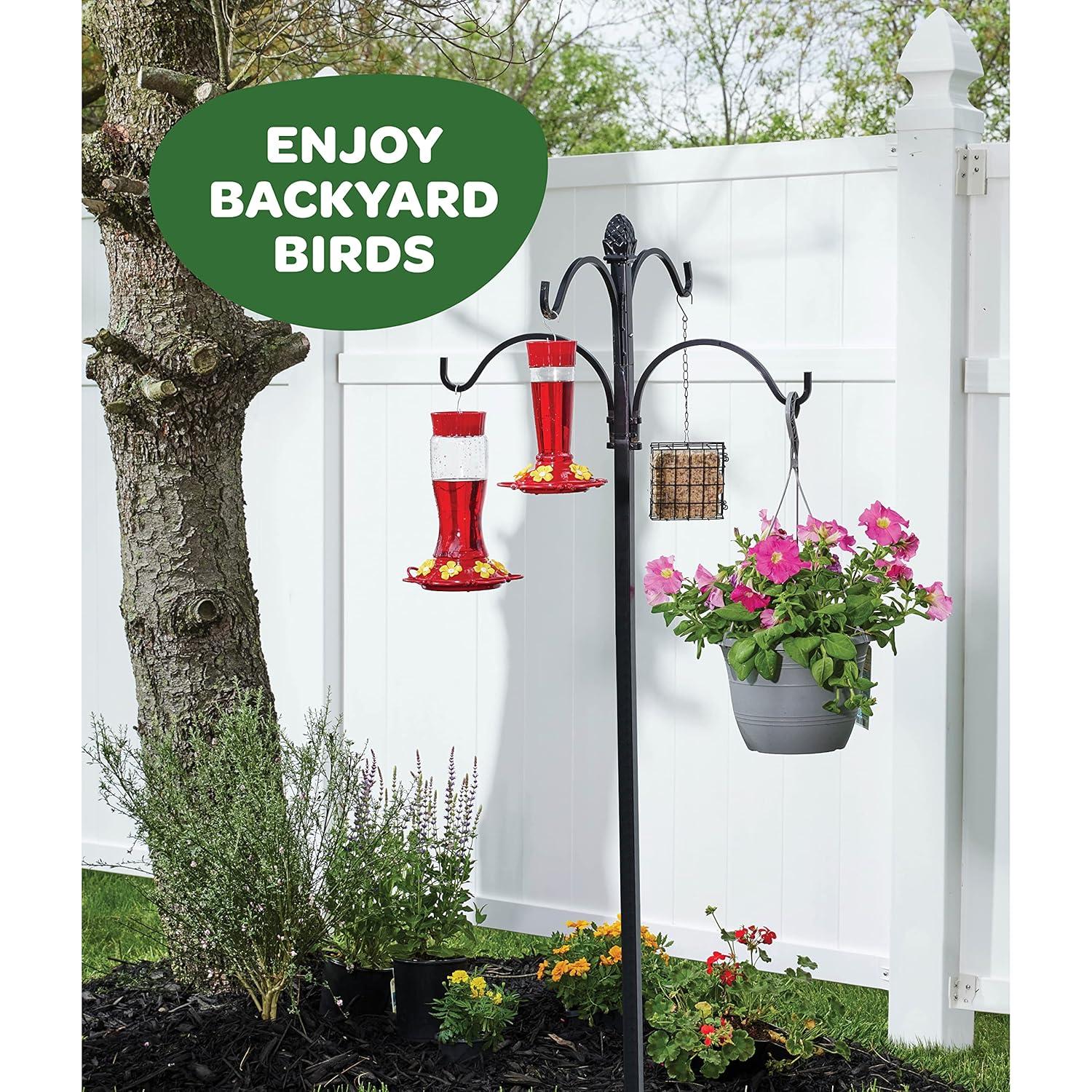 Hummingbird Feeder 10 oz Plastic Hummingbird Feeders for Outdoors, with Built-in Ant Guard - Circular Perch with 5 Feeding Ports - Wide Mouth for Easy Filling/2 Part Base for Easy Cleaning