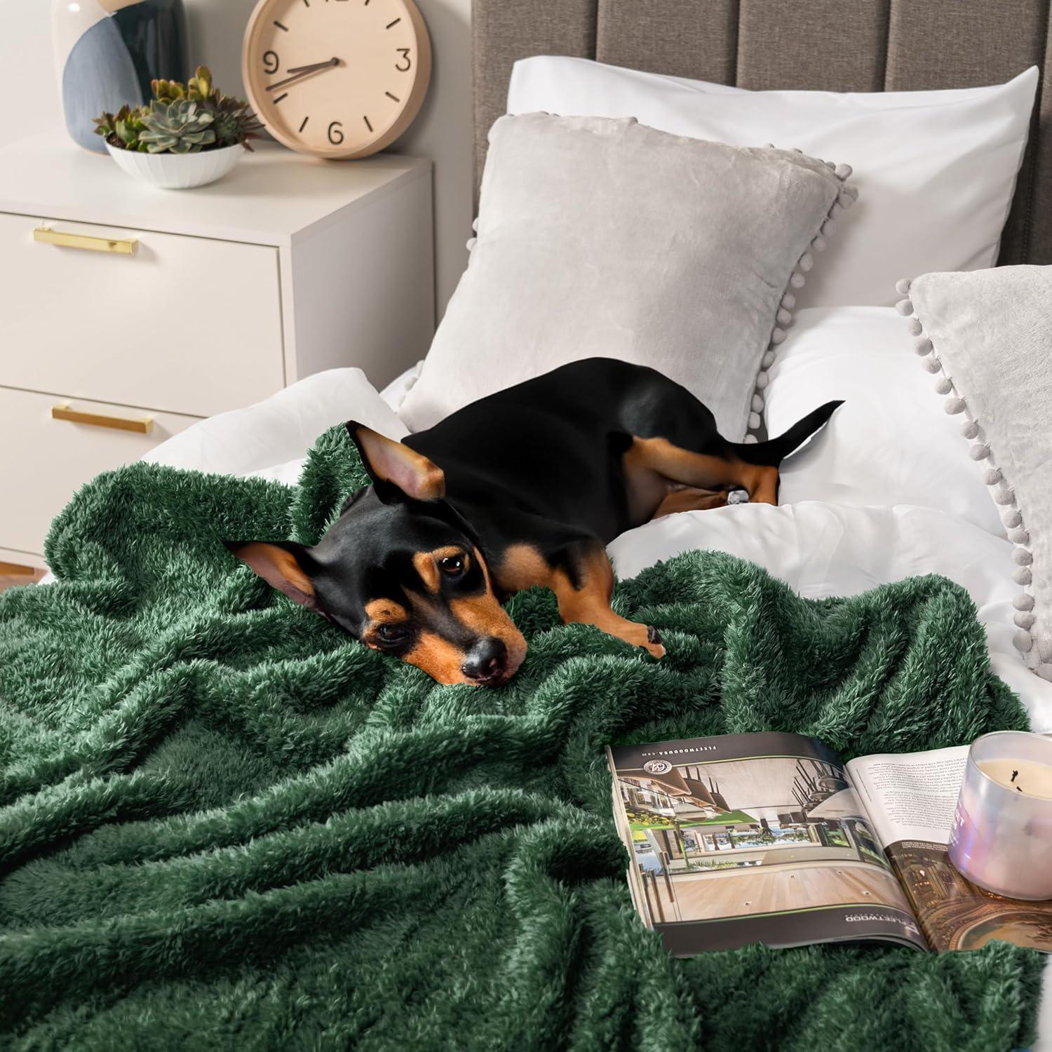 PAVILIA Plush Throw Blanket for Couch Bed, Faux Shearling Blanket and Throw for Sofa Home Decor, Emerald Green/Throw - 50x60