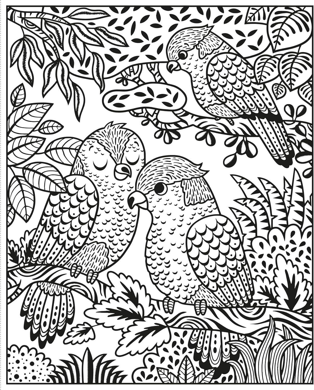 Zoo Magic Painting Book - (Magic Painting Books) by Sam Taplin (Paperback)