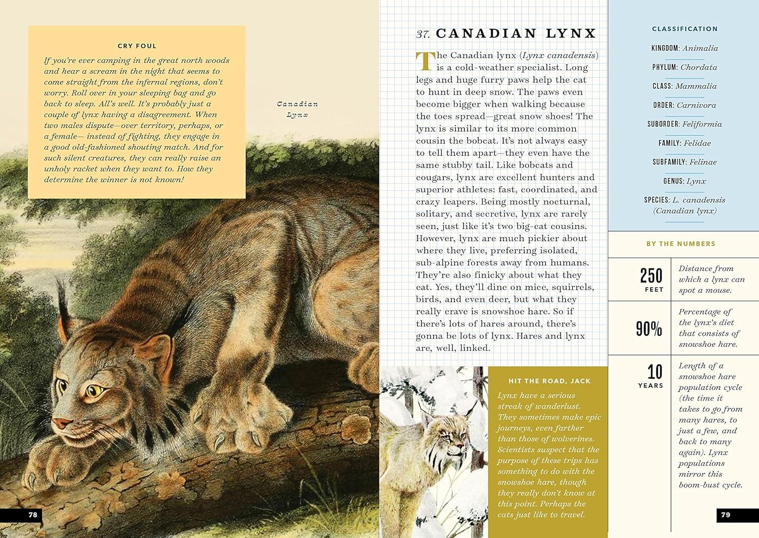 The Little Book of North American Mammals: A Guide for Kids