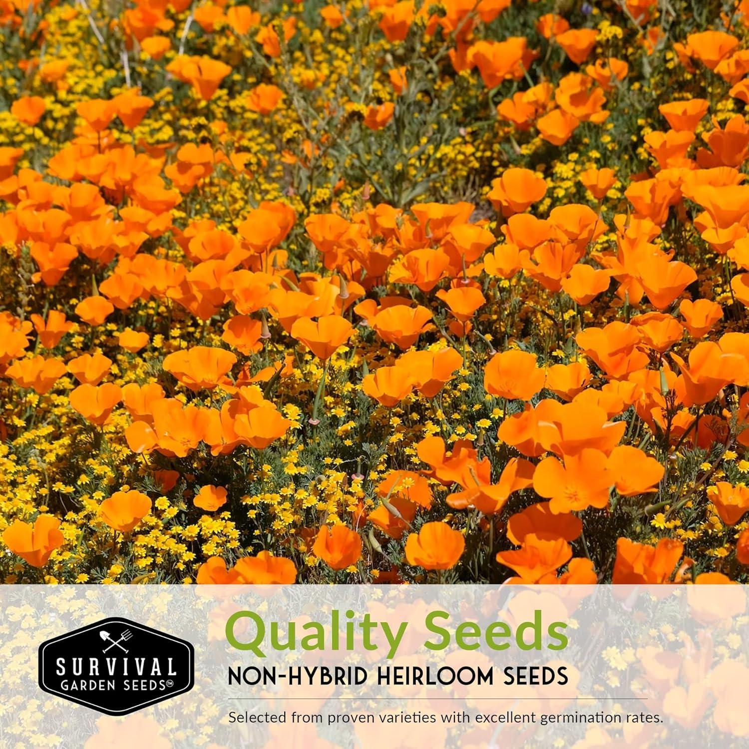 4 Packs Poppy Flower Seed - California, Golden West, Mikado, Red Corn - Full Sun Annual