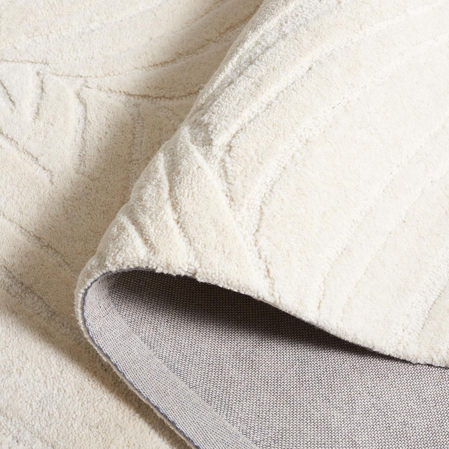 Ebony EBN805 Hand Tufted Accent Rug - Ivory - 3'x5' - Safavieh.