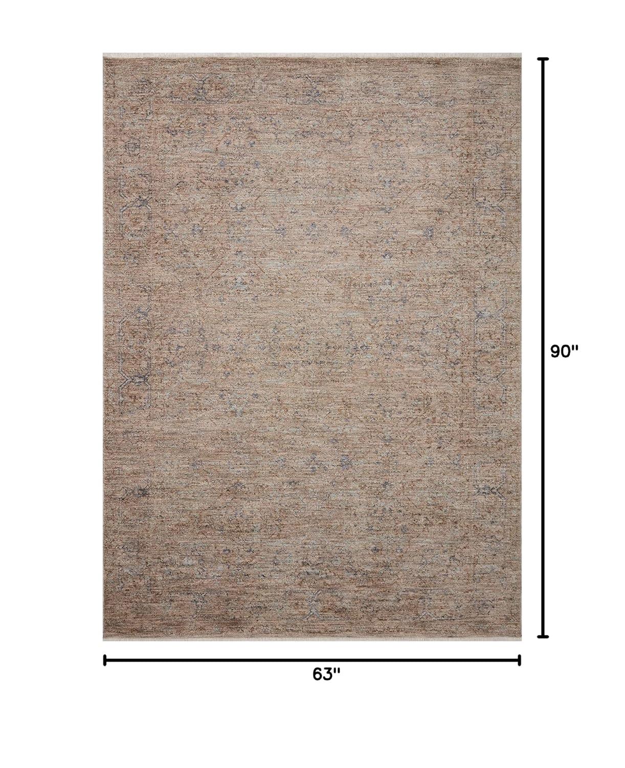 Angela Rose x Loloi Blake Taupe / Blue Area Rug