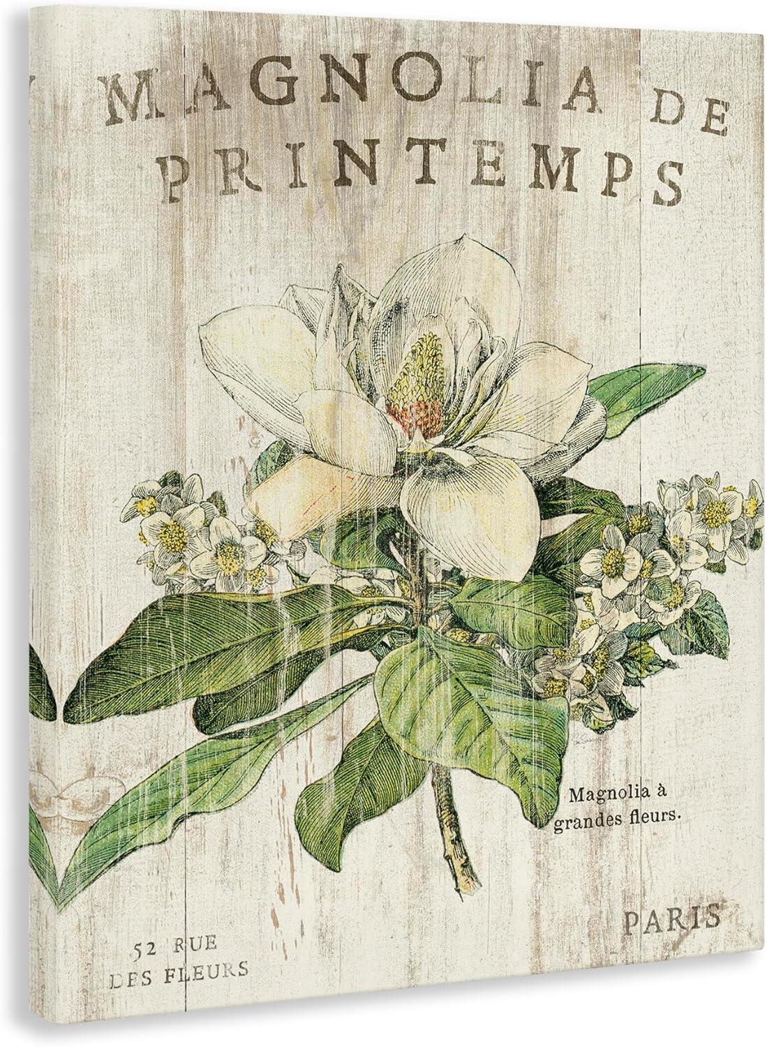 French Magnolia Spring Vintage Canvas Wall Art, 16x20