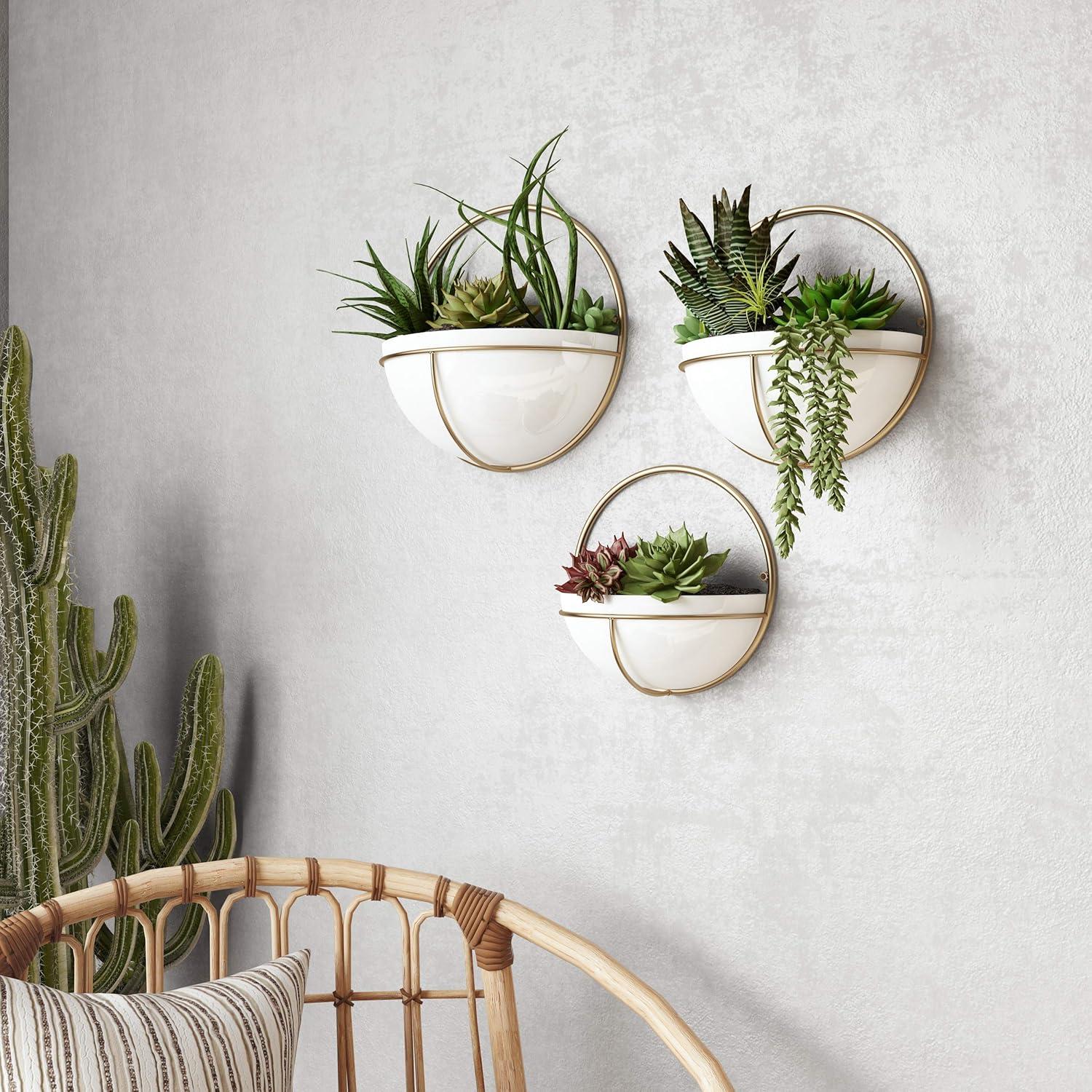 Isley Modern Wall Planters (Set of 3)