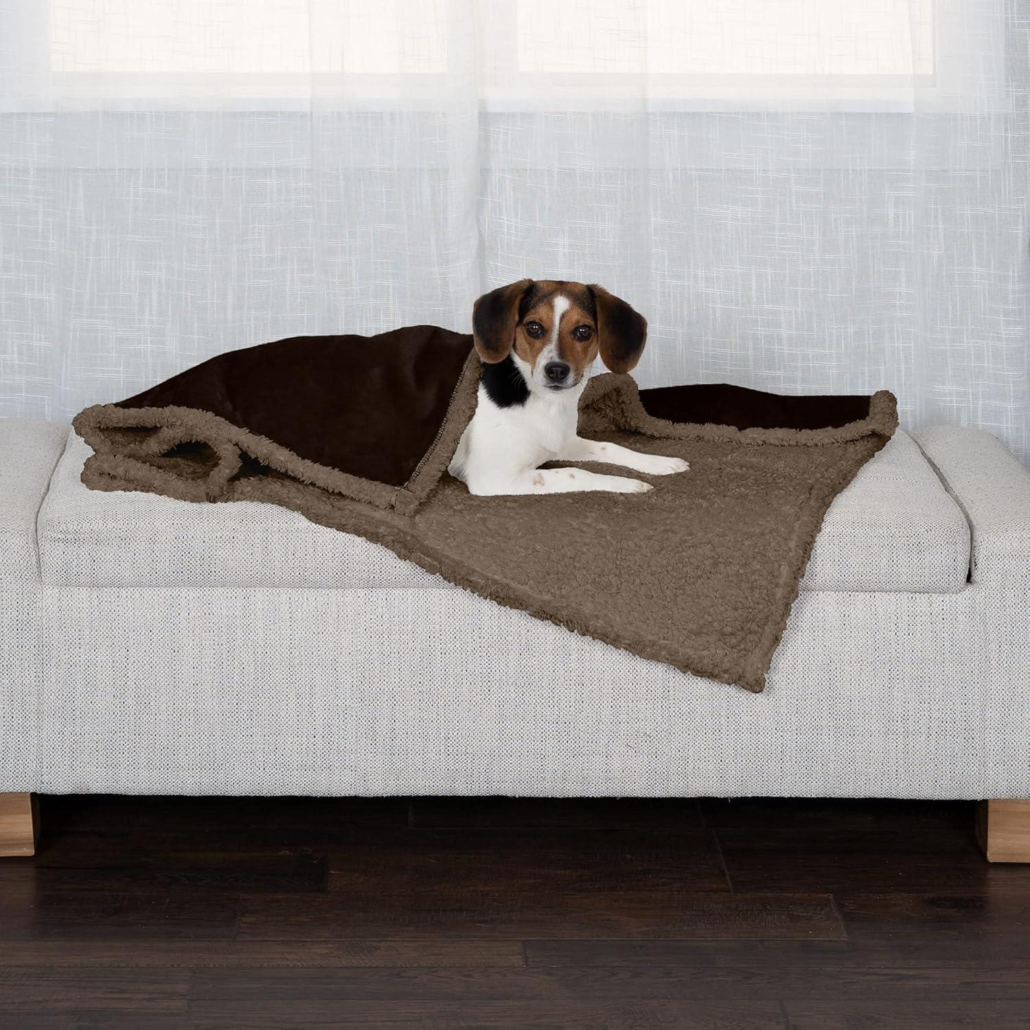 FurHaven Snuggly & Warm Soft-Edge Warming Waterproof Blanket
