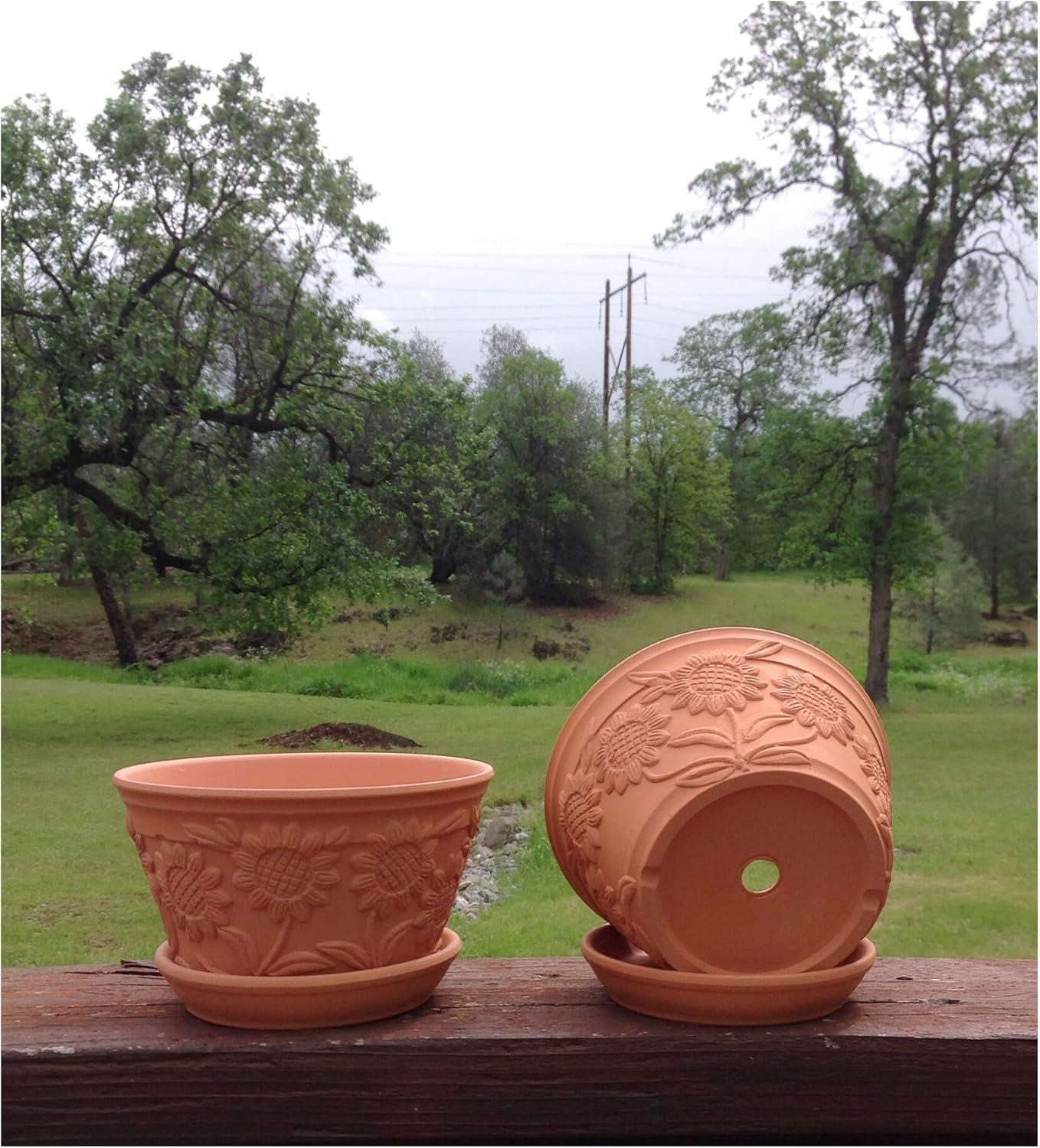 Sunflower Embellished Terracotta Garden Pot Duo with Tray