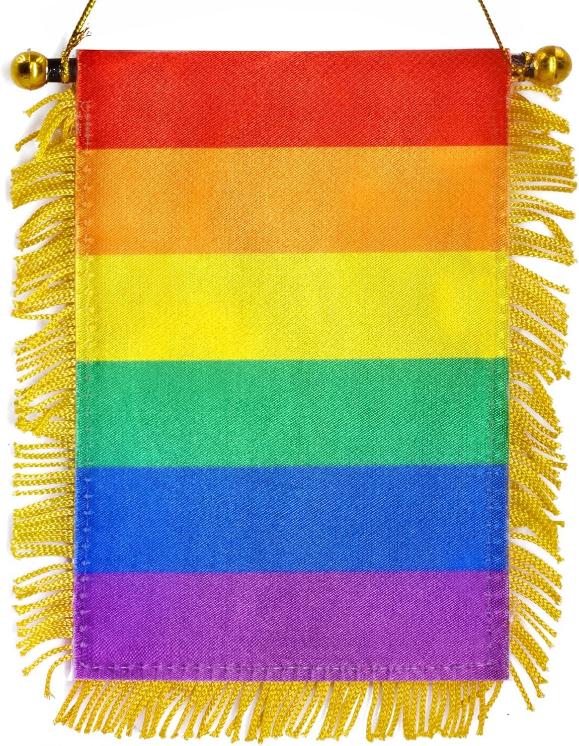 4x6 Inch Rainbow Fringed Window Hanging Flag with Suction Cup