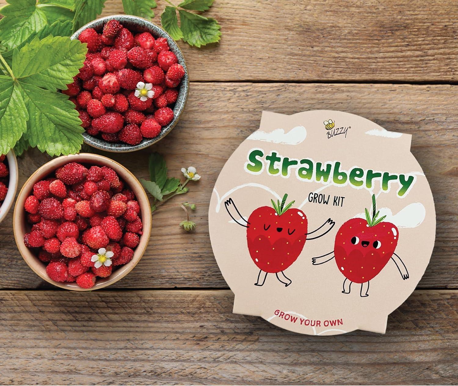 Vintage-Inspired Metal Mini Basin Strawberry Grow Kit