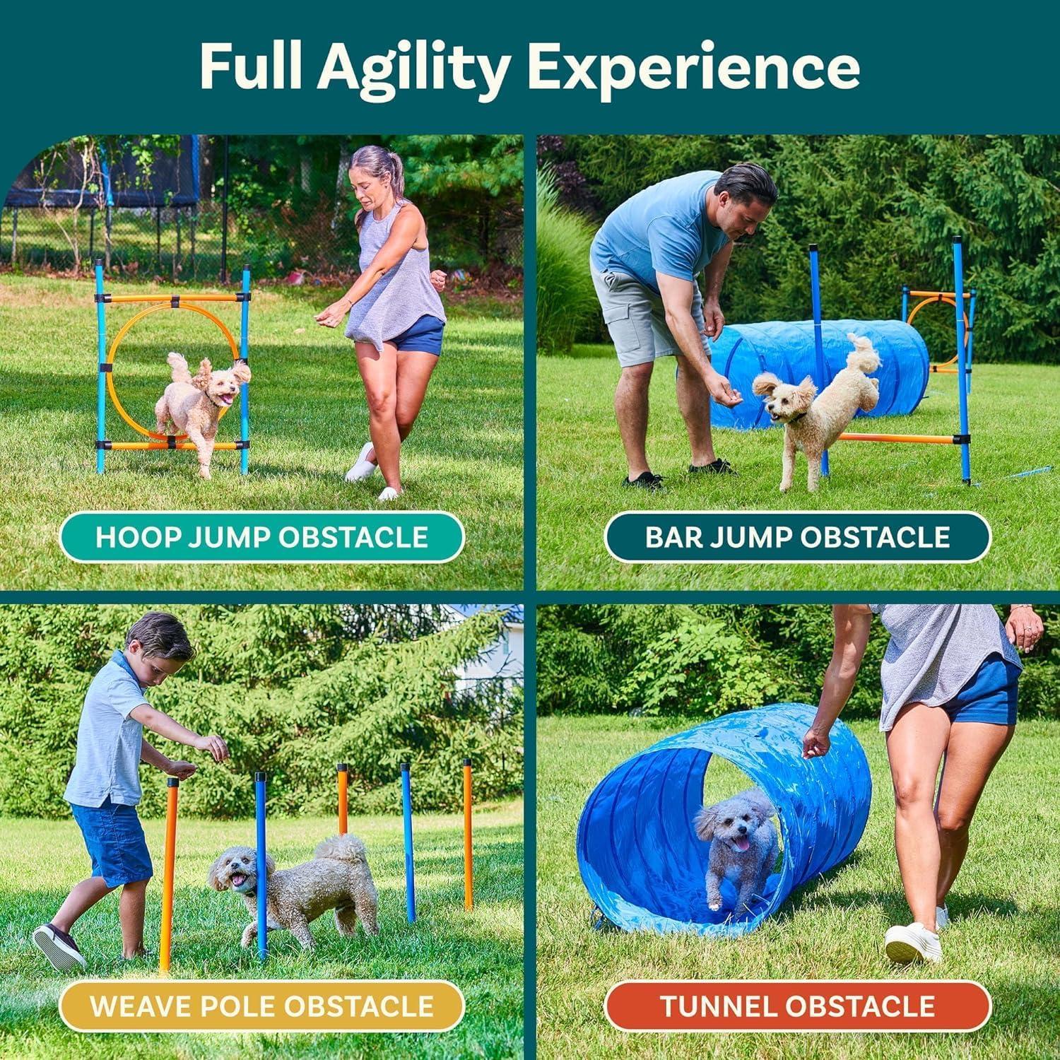 PetCove Blue and Orange Dog Agility Training Set