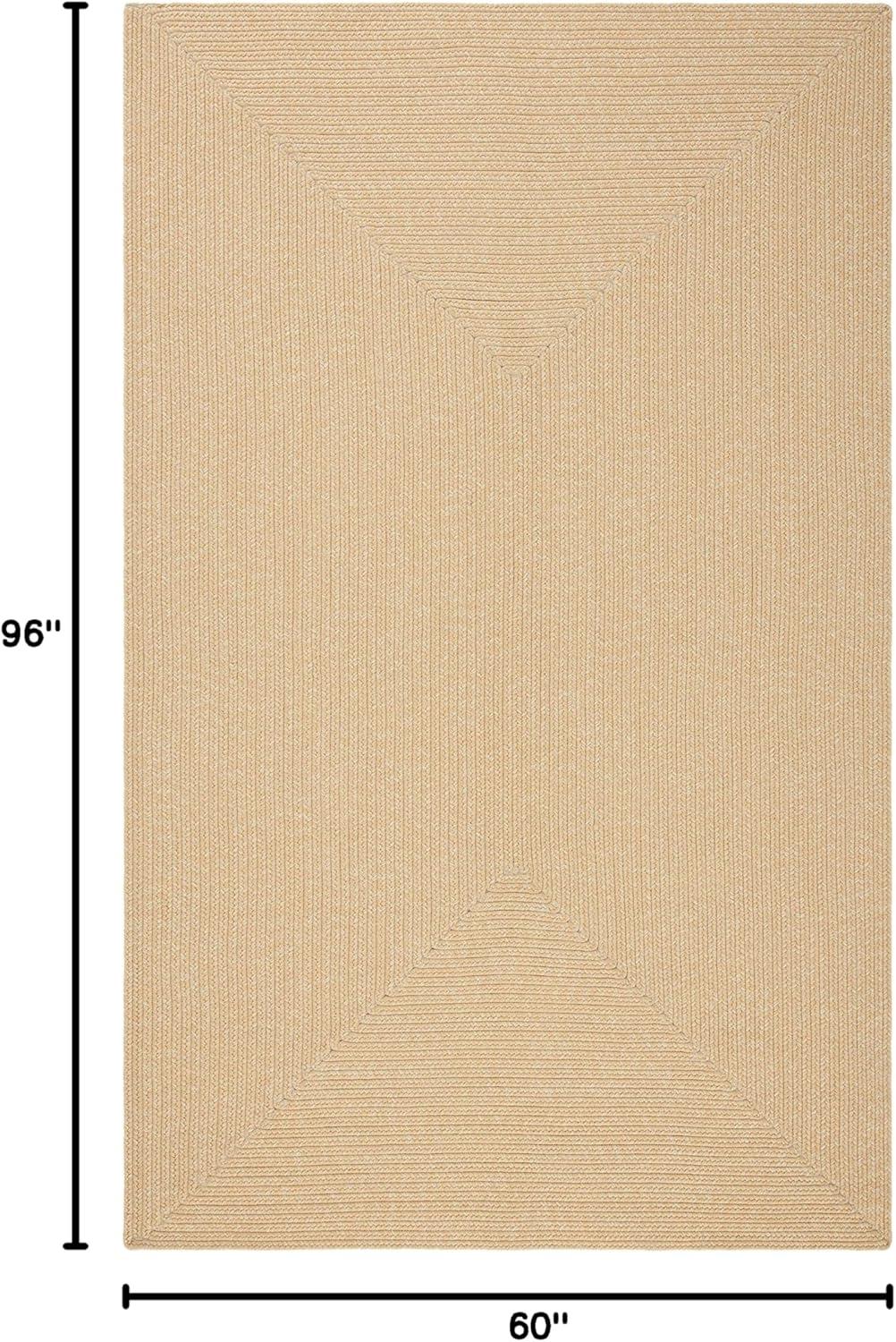 Braided BRD315 Hand Woven Area Rug  - Safavieh