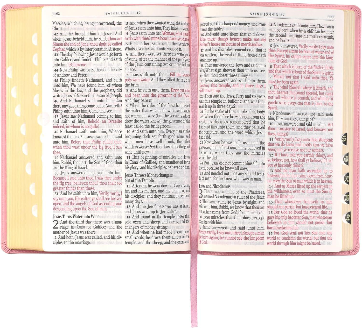 KJV Bible Giant Print Full Size Pink (Large Print) (Hardcover)