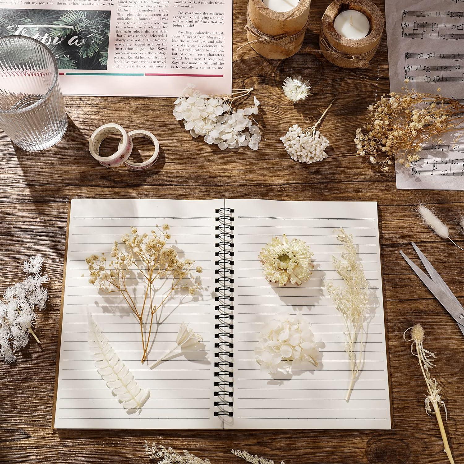Yoloke DIY Dried Flowers Craft Kit - Natural Assorted Dried Florals for Making Everlasting Valentine's Day Gifts, Unique Design, Perfect for Framing & Creative Decor