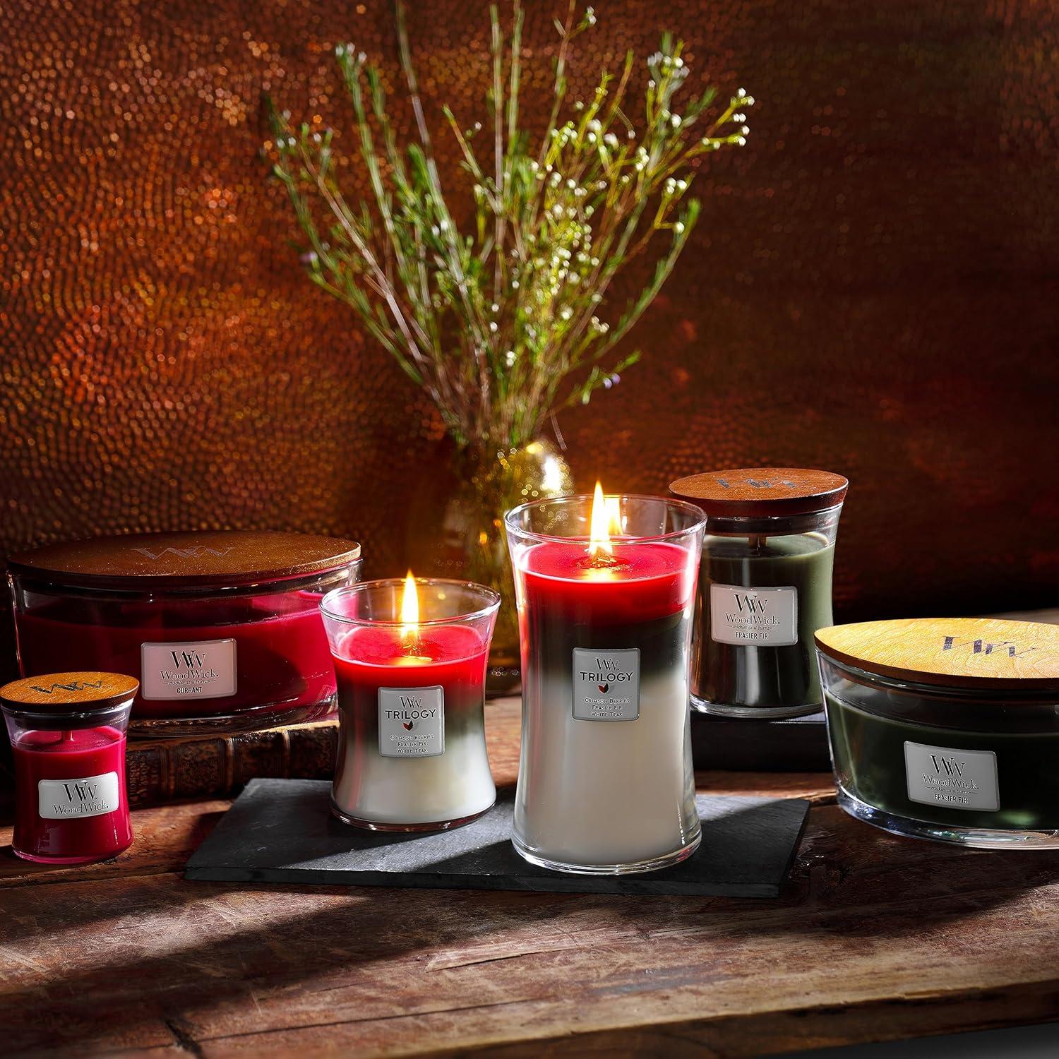 Sun-Ripened Berries Black Scented Jar Candle