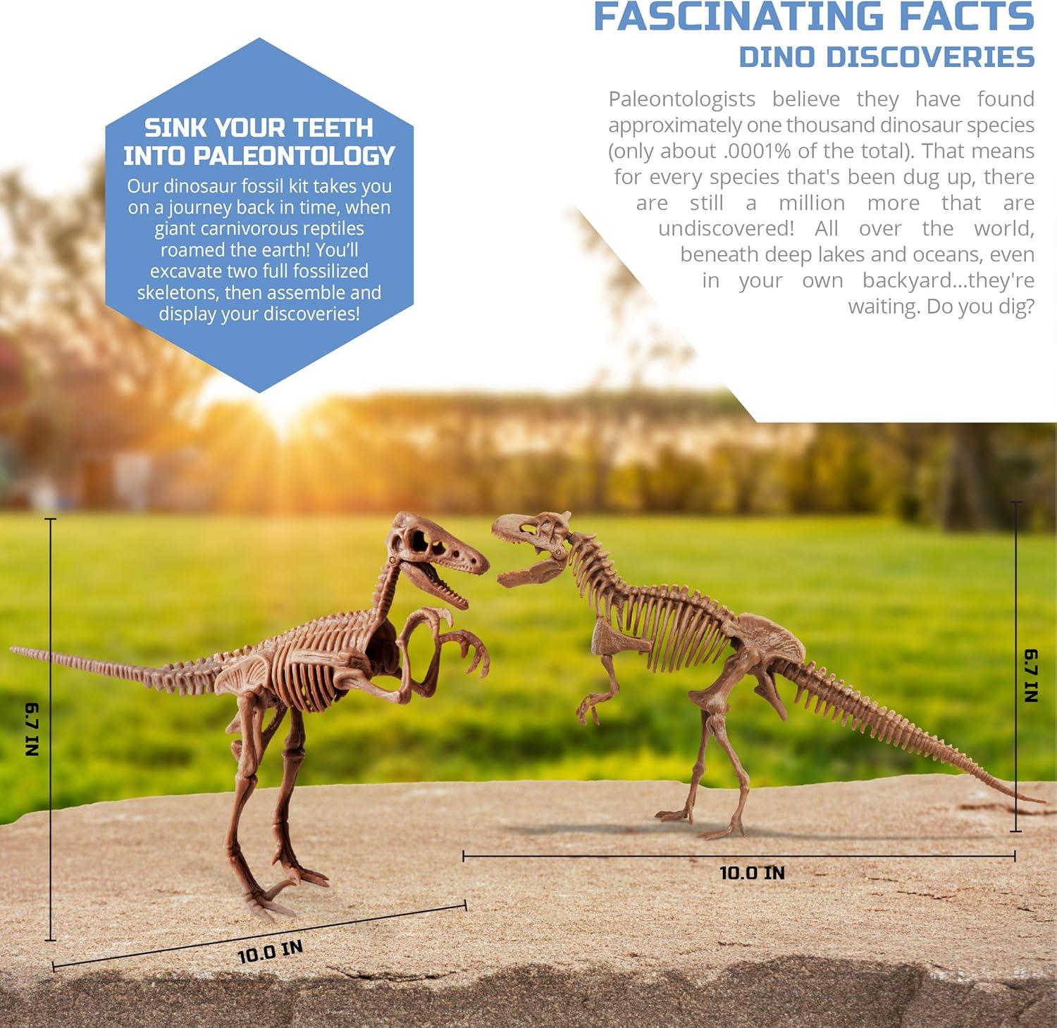 Discovery Mindblown Dinosaur Fossil Dig Excavation Kit with Tools