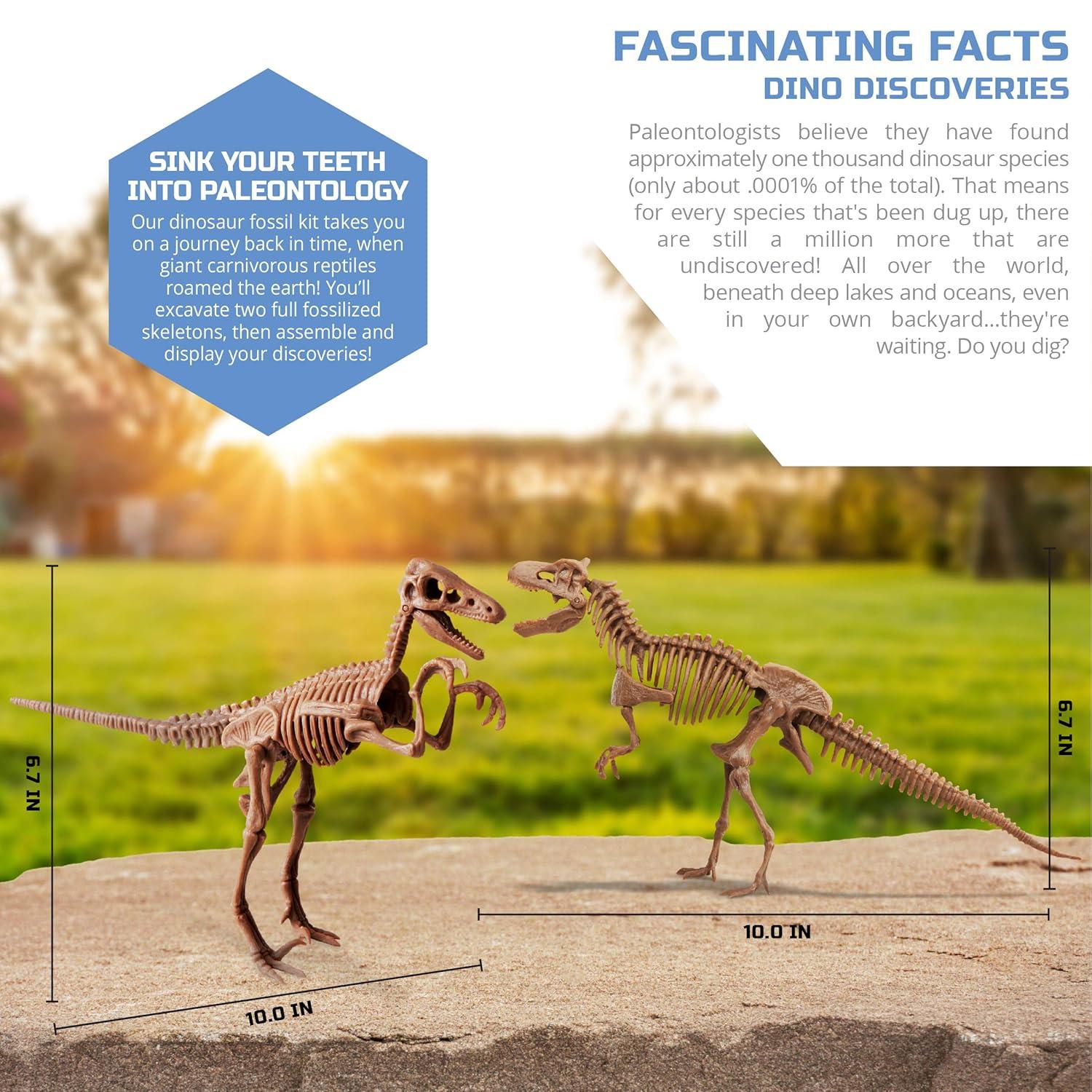 Discovery Mindblown Dinosaur Fossil Dig Excavation Kit with Tools