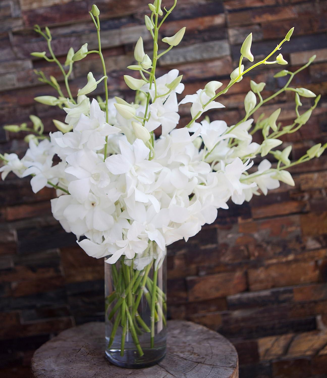 KaBloom : Fields of Tranquility Bouquet of 20 White Orchid With Vase.Gift for Birthday, Sympathy, Anniversary, Get Well, Thank You, Valentine, Mother’s Day Fresh Flowers