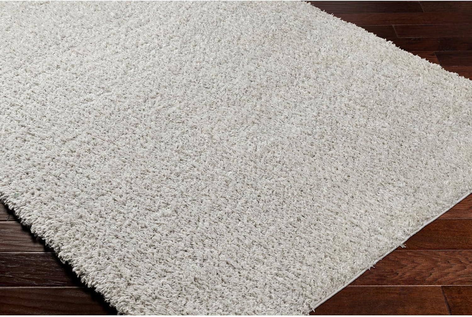 Light Gray Rectangular Shag Area Rug, 7'10" x 10'