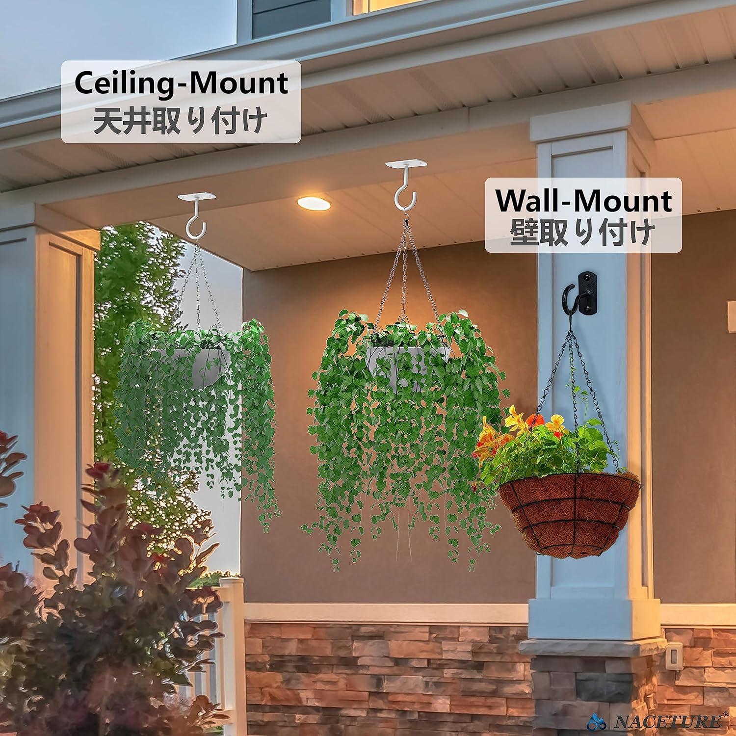 Black Heavy-Duty Iron Wall Mount Plant Hanger Hooks, 2-Pack