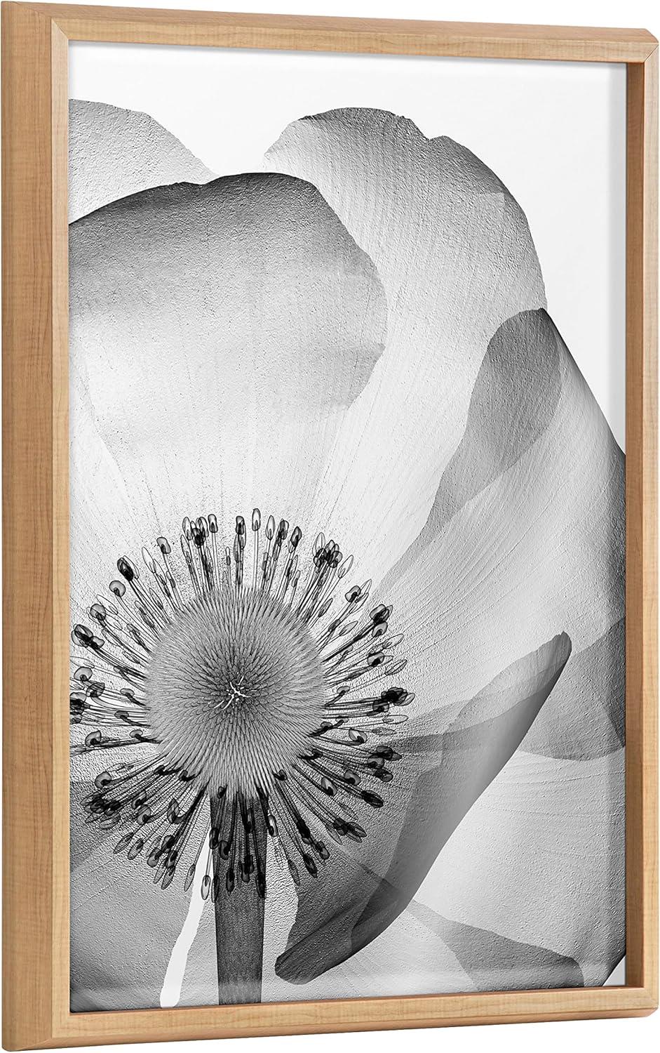 Kate and Laurel Blake Poppy X Ray Floral 2 BW Framed Printed Glass Wall Art by The Creative Bunch Studio, 18x24 Natural, Decorative Modern Flower Art Print for Wall