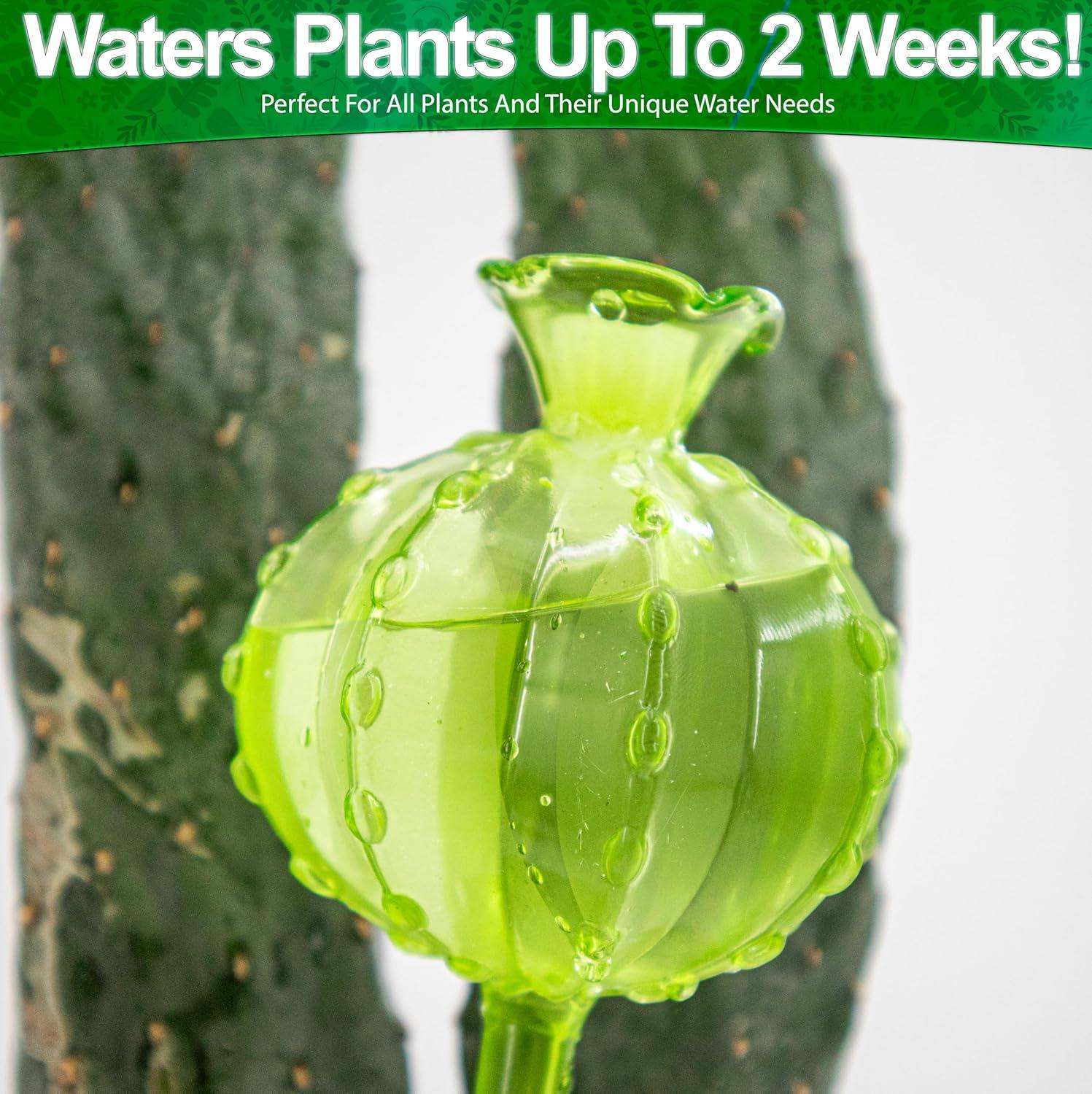Large Multicolor Hand Blown Glass Plant Watering Globes Set