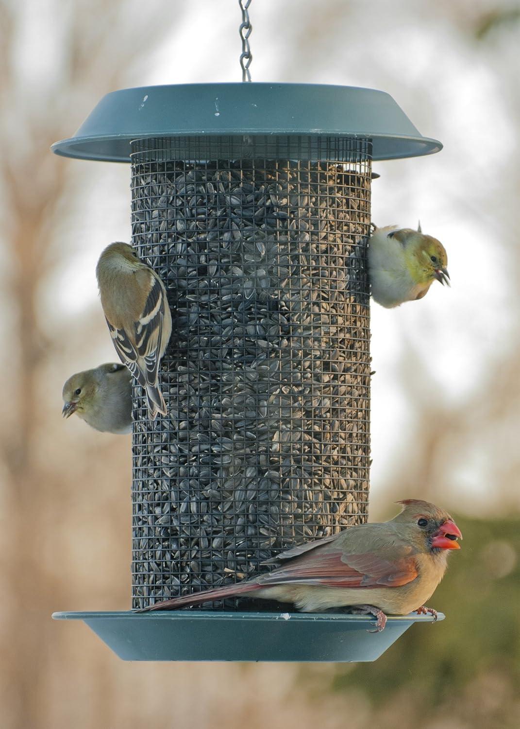 Woodlink Audubon Hanging Tube Bird Feeder