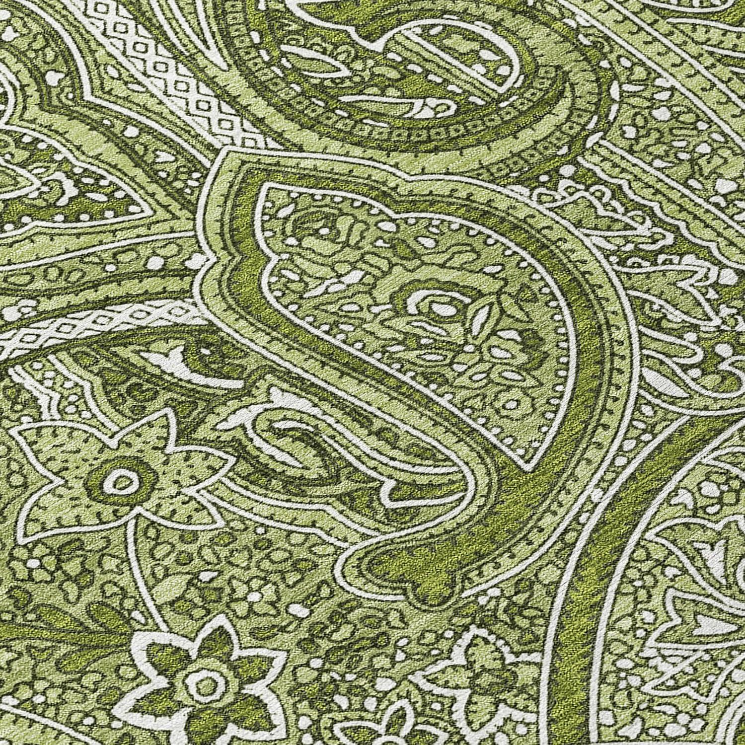 Green Paisley Machine-Washable Indoor Outdoor Rug 3' x 5'