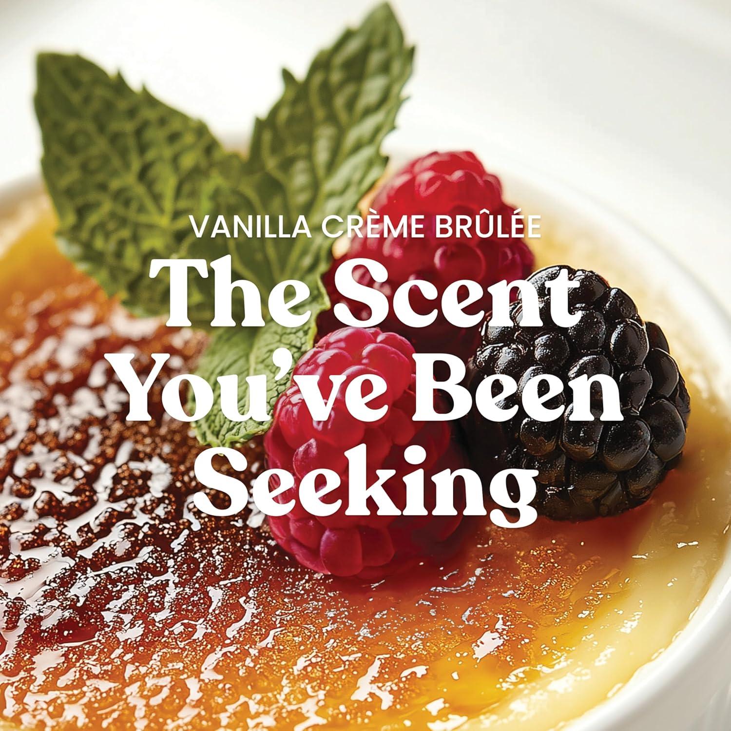 Yankee Candle Studio Scented Candle, Vanilla Crème Brûlée, Premium Plant Wax Blend, 10 oz Jar, Up to 50 Hour Burn Time