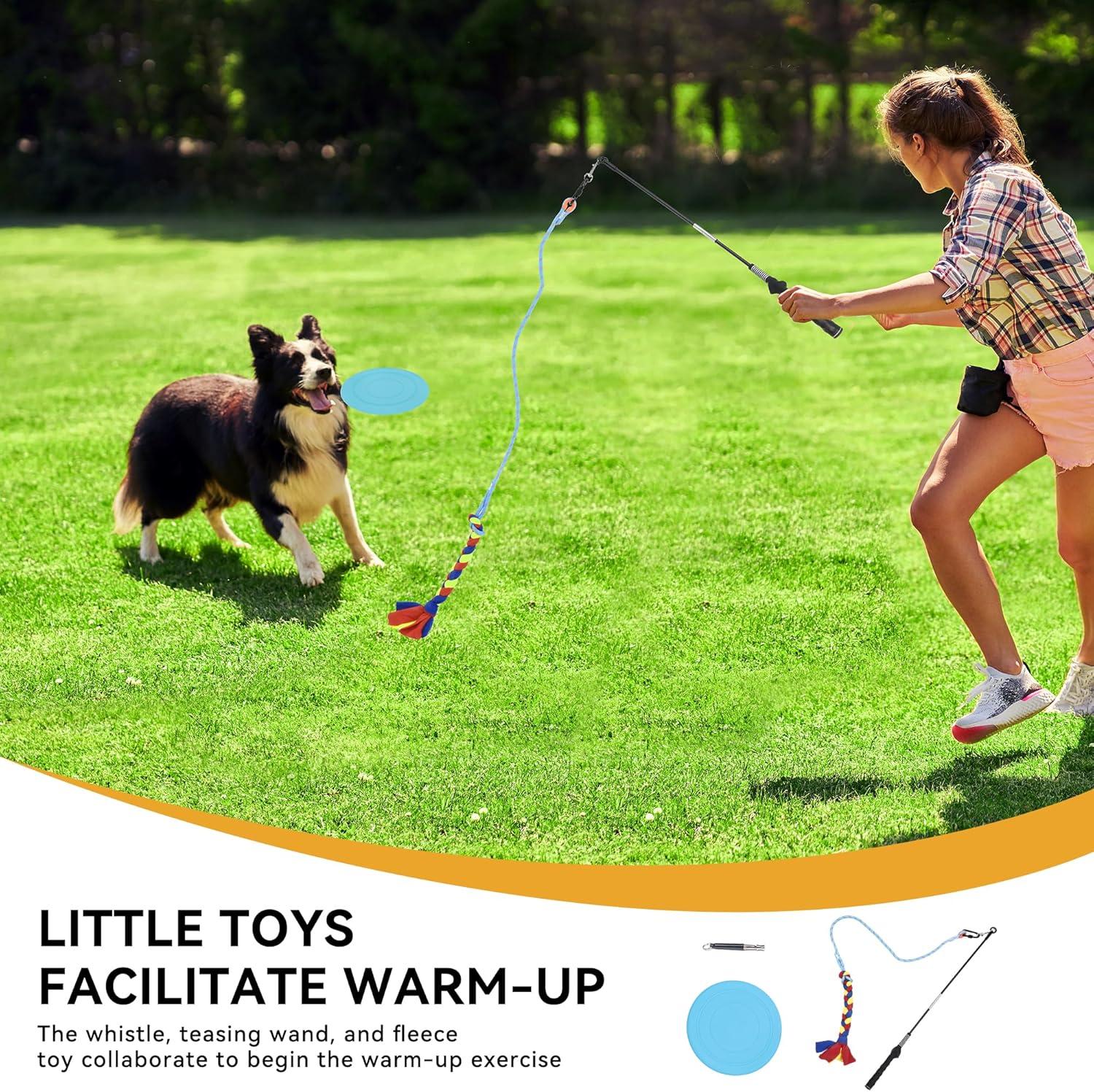 Dog Agility Equipments, Includes Flirt Pole Toy, 3 Flying Discs, 2 Agility Tunnel, 3 Jumps, 6 Weave Poles, Pause Box,Agility Course Set for Backyard, Indoor, Outdoor