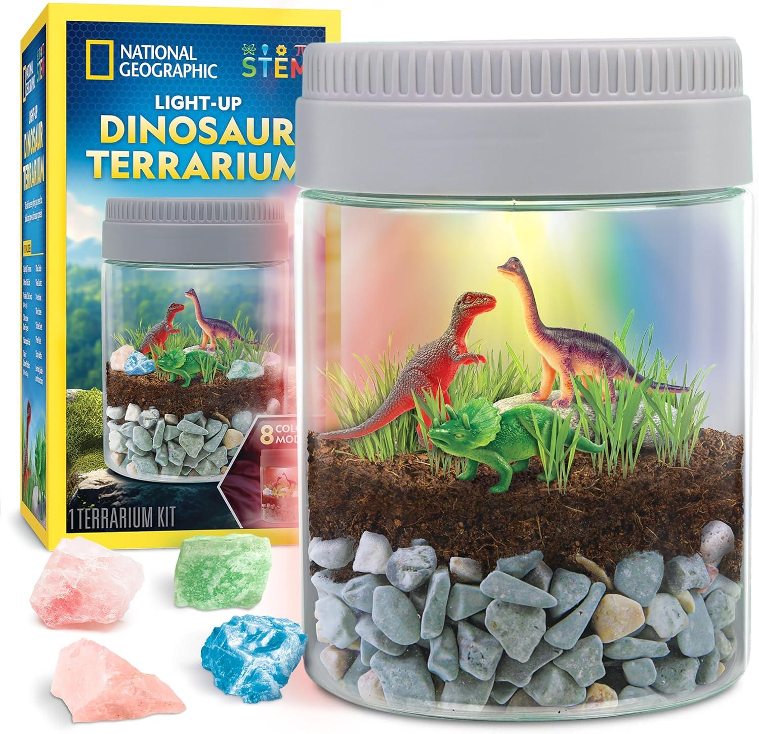 Multicolor LED Dinosaur Terrarium Kit with Real Plants