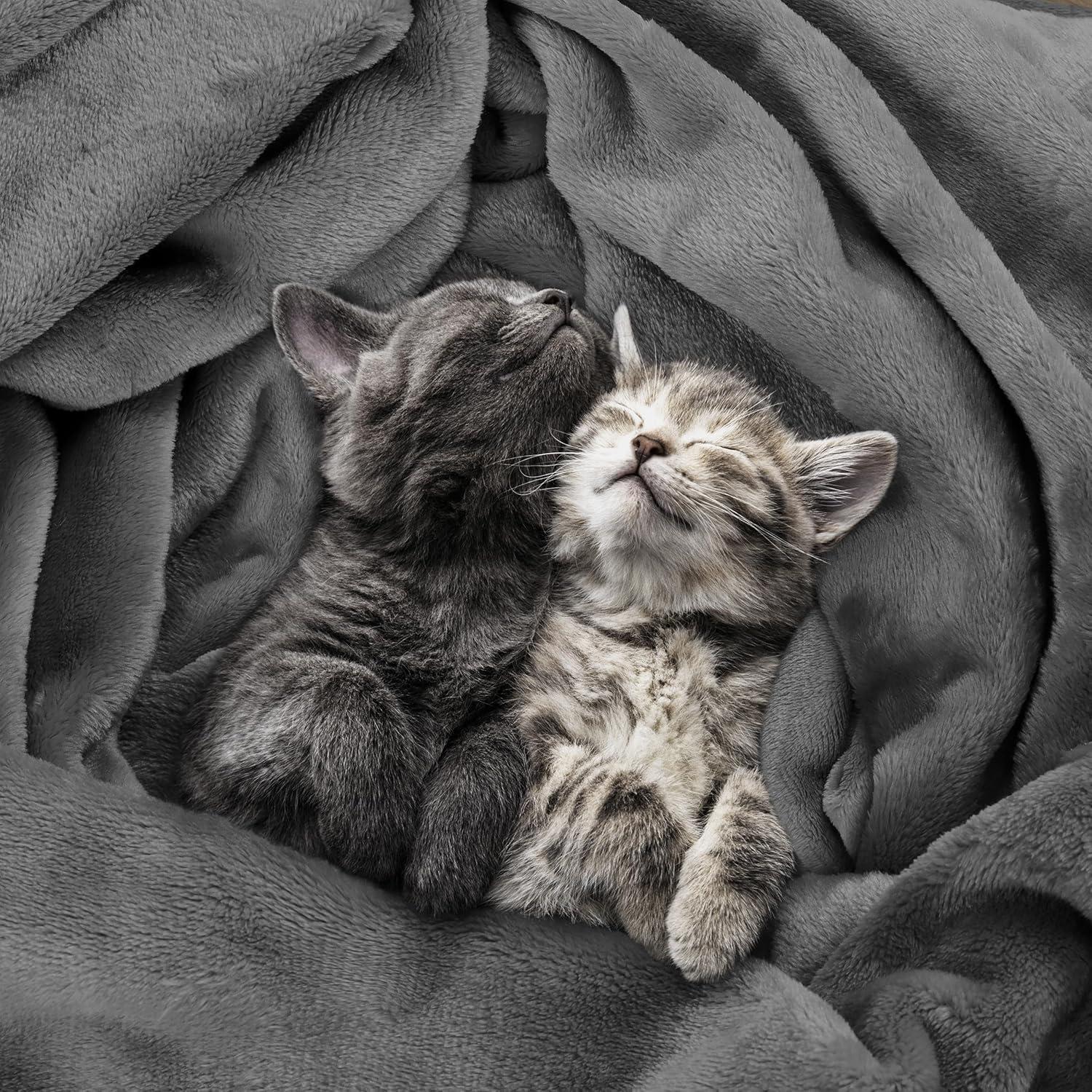 Utopia Bedding Fleece Blanket King Size Grey 300GSM Luxury Anti-Static Fuzzy Soft Microfiber Bed Blanket (90x102 Inch)