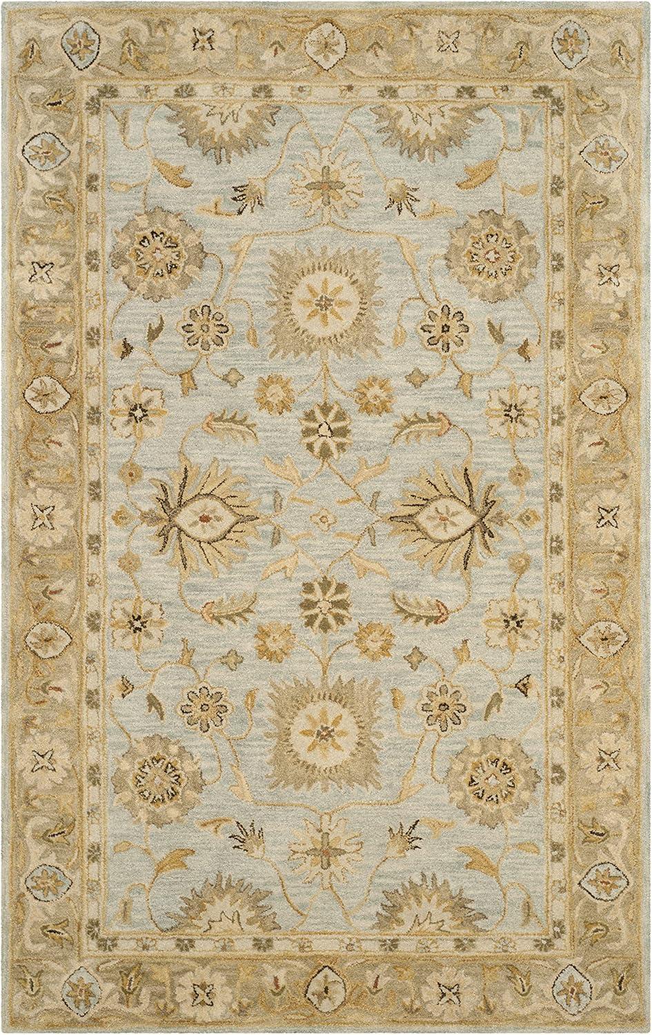 Antiquity AT856 Hand Tufted Area Rug  - Safavieh