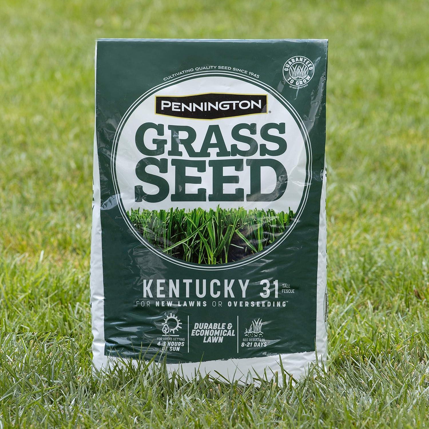 Pennington Kentucky 31 Tall Fescue Grass Sun or Shade Grass Seed 7 lb