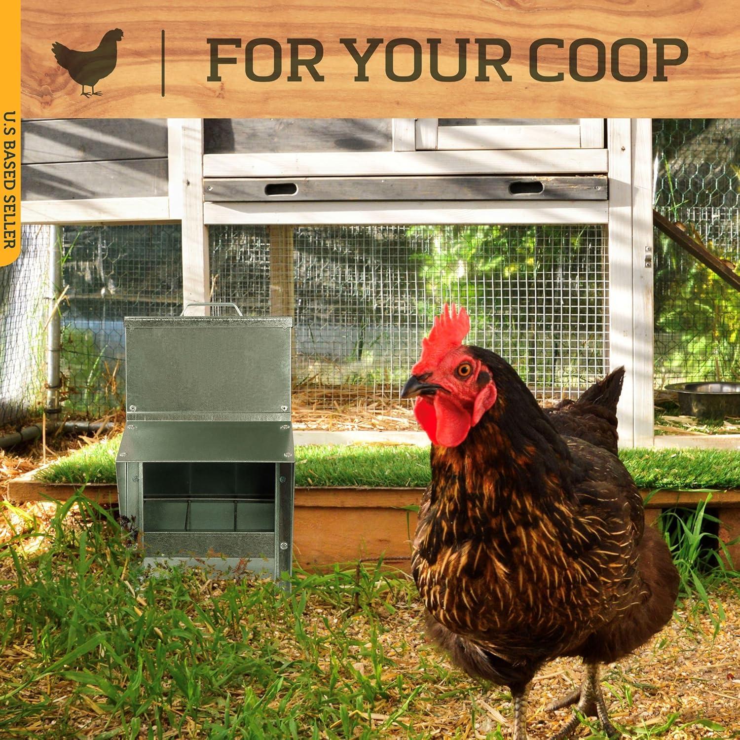 Rural365 11.5lb Capacity Galvanized Chicken Feeder Weatherproof Coop Dispenser